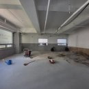 커몽도그 이미지