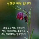 오만가지 이미지