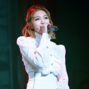 다미 이미지