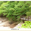 5월14(화) ㅡ설악산 신록과 강문해변 송림숲 트레킹 이미지
