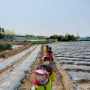 별하농장 이미지