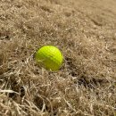 로프트317 | 360 CC 라운드 후기 벤투스 블랙 6S 백티 공략과 필드 컨디션 체크