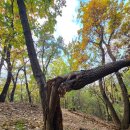 가리대광장 이미지