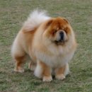 영민동물병원 이미지