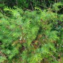 무녀도전망대 | 전북 신시도 자연휴양림 산책코스 추천｜원형전망대, 달맞이화원, 태양전망대, 노을향기길 후기