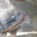 스피드메이트이곡점 이미지