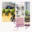 꿈꾸는새싹작은도서관 | [다가치 꿈꾸는 작은 도서관 단체 클래스]