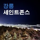 댕모아 | 강릉 세인트존스 애견 동반 트윈룸 / 자쿠지 / 드라이룸