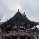 한송정가든 | 양산 통도사 홍매화 3월 12일 개화 상황(feat. 양산 통도사 맛집, 통도사 내 카페)