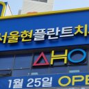 서울현플란트 치과의원 이미지