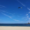 송도해수욕장 이미지