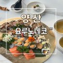 요루노네코