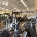 브라운 짐 이미지