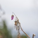 중앙동177 이미지