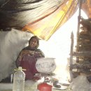 돈키호테 로시난테 카카오 검색결과