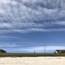 우도수산 이미지