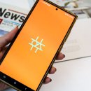 주식회사 안목고수 | 후추앱 숏폼리뷰커머스 믿을 수 있는 쇼핑앱 등장