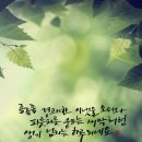 오포1동-4 이미지