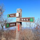 부산23산우회 오르고함양 백운산(1279)/2025.11.29 이미지