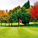 치유의 바람 이미지