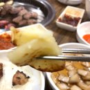 짚누리 네이버블로그