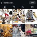 훈트(HUND) 네이버블로그