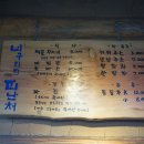 너구리의 피난처 이미지