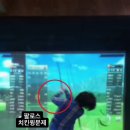 SJ브라보골프 이미지