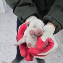 가회초등학교 이미지