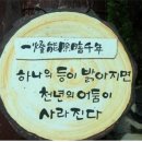 호박1공인중개사사무소 이미지