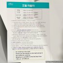 라벨라 | 대구 동성로 조식나오는 깔끔한 숙소 - 호텔 라벨라 3인 후기(로얄스위트트윈룸)