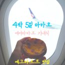 오늘이제일젊은날 | 마카오 공항 카페 에그타르트 반입 에어 마카오 기내식 5일차