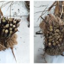 회천농업협동조합 회령지점 이미지