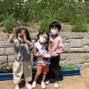 화동초교병설유치원 이미지