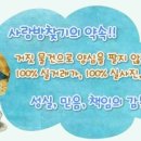 가양초교 이미지