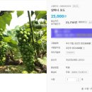 알마니농장 이미지