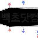 포톤테라 이미지