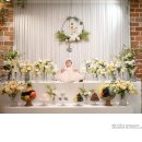 현대식 | [후기] 파티앤프렌즈 둘째 돌잔치: 세레나홀 현대식 돌상 진행 솔직 후기