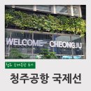 청주 국제공항에서 베트남 다낭 출국 후기 ( 하나투어 패키지 여행, 주차요금, 식사, 면세점, 티웨이...