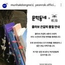 연록 물망초 끈갈피 선물 받은 후기 (ft. 서울국제도서전)