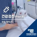 아람동물병원 이미지