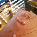 부산 남포동 작은동물원 '위드쥬' with-zoo 이미지