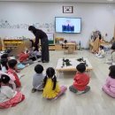 수창초교 병설유치원 네이버블로그