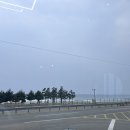 안녕? 빨강머리 앤 | 양양 오션뷰 카페 추천 P.E.I 커피 빨강머리앤 감성 아이랑 가기 좋은 카페!