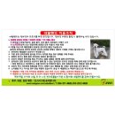 키즈팜민박 이미지