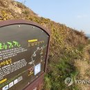 푸르다남해펜션 이미지