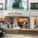 몽슈 펫그루밍샵 이미지
