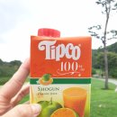 센테리움CC(대중제) | 충주 <금강센테리움CC> 스코틀랜드 웨일즈코스 라운드후기