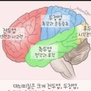 조울증 양극성 장애 원인 이미지