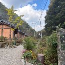 옛집황토방 | 울산 울주 촌캉스 추천! 독채 황토 복층 &#39;반구대 옛집&#39;🏡 15명까지 수용 가능한 펜션 후기